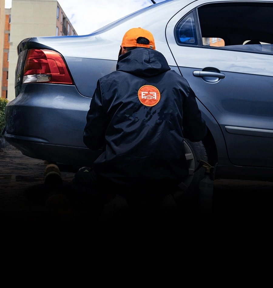 Mantenimiento y embellecimiento