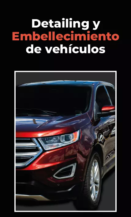 Promoción fullpits servicios